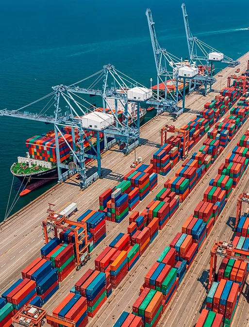 The Future of Customs Clearance